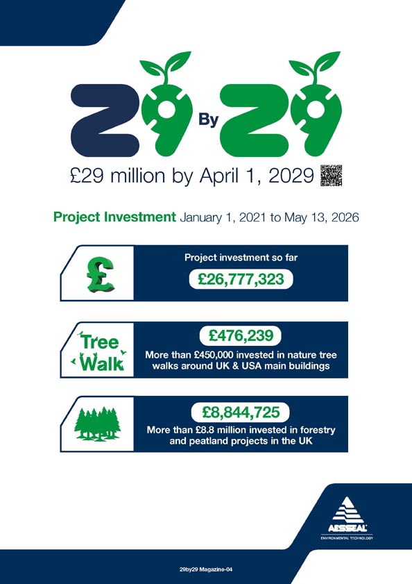 29by29 Investment Summary Cover