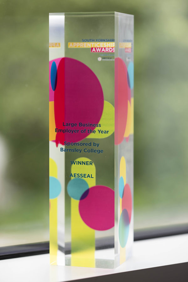 Large Business Employer of the Year Award trophy