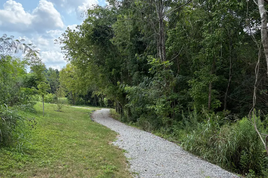 A gravel path surrounded by greenery.