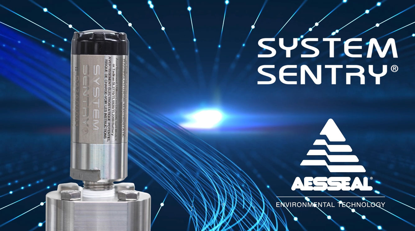 Enhance System Reliability with System Sentry.
