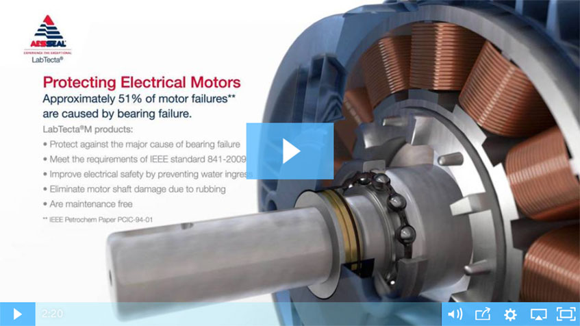protect electrical motors from bearing damage