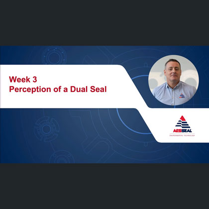 Perception of a Dual Seal Video
