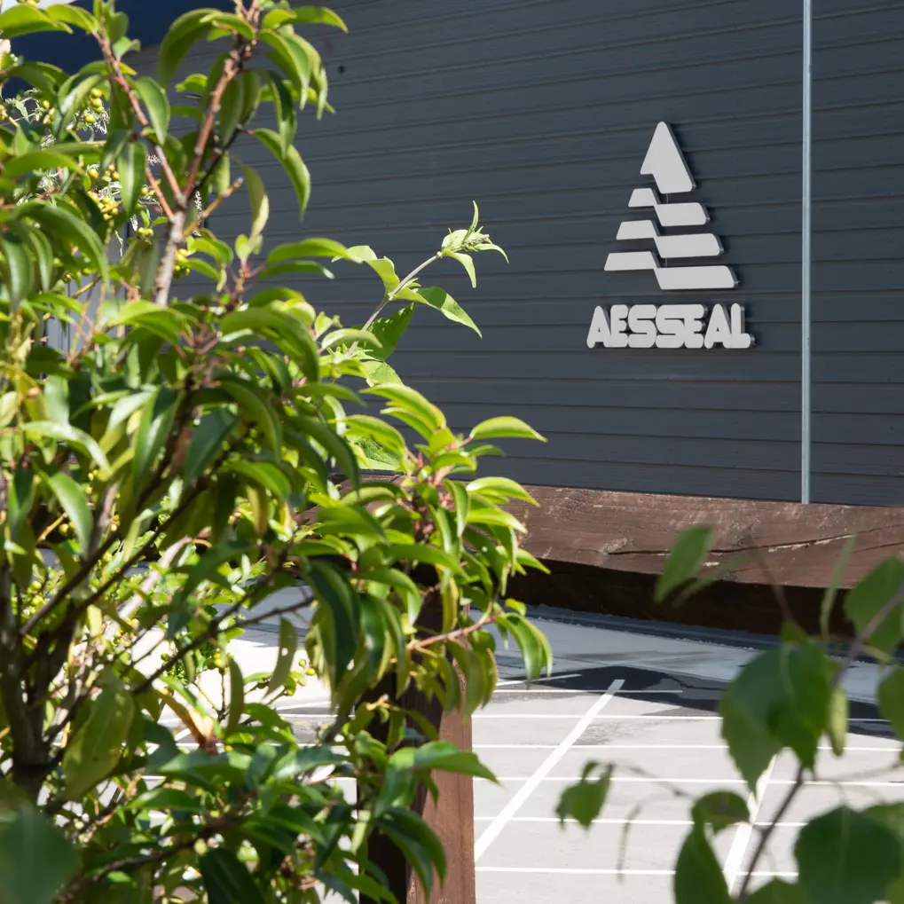 AES grounds on the edge of the tree walk