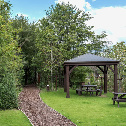 woodlands area around industrial complex